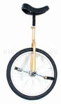 Eenwieler 20 inch goud metallic !