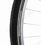 Dutch Perfect E-speed