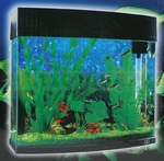 Aquarium voor zoet- en zoutwater